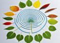 fibonacci